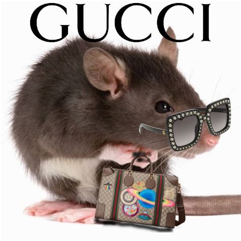 gucci rat